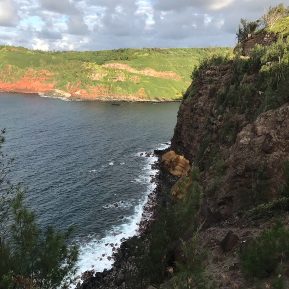 Meet your Posher, Lindsey